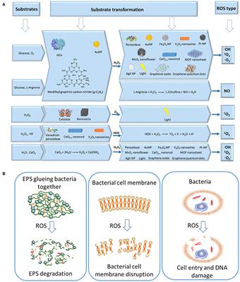 Applications and Perspectives of Cascade Reactions in Bacterial Infection Control